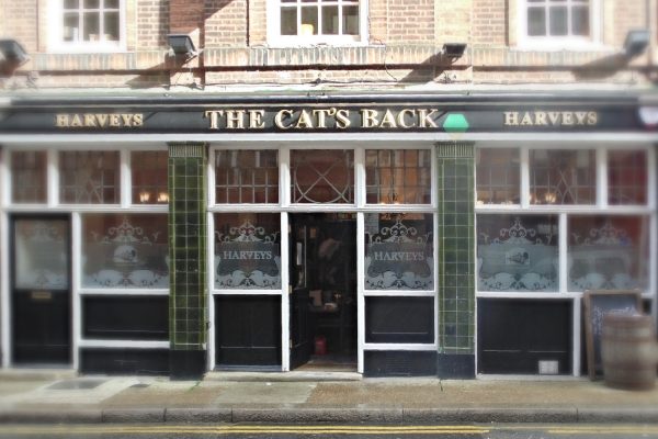 the-cats-back-1